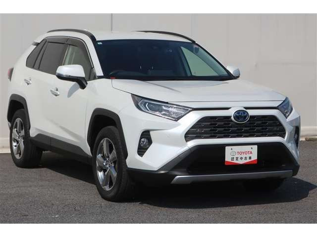 RAV42.5 ハイブリッド G E-Four 4WD