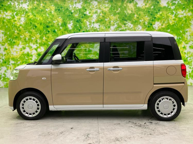 ムーヴキャンバスストライプス X