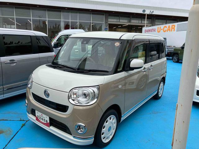 ムーヴキャンバスG メイクアップ SAII