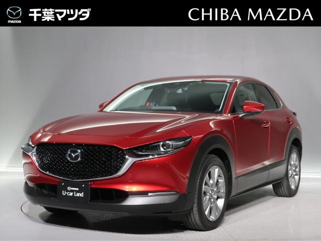 CX-301.8 XD プロアクティブ