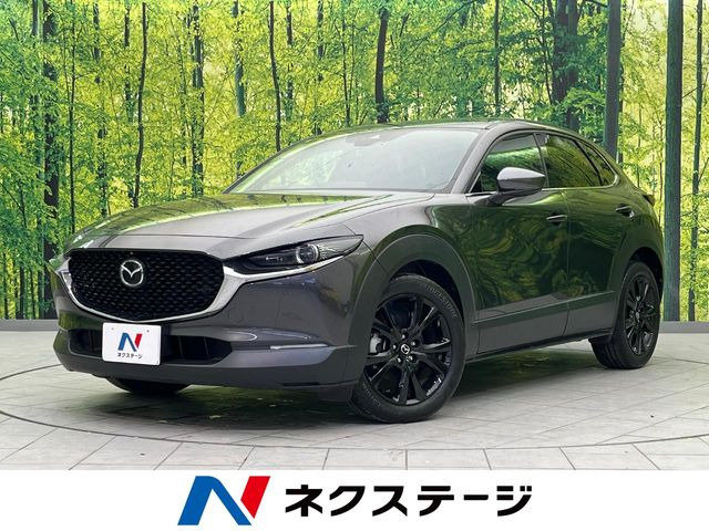 CX-301.8 XD ブラックトーンエディション
