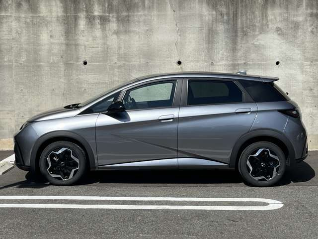 ドルフィンベースライン