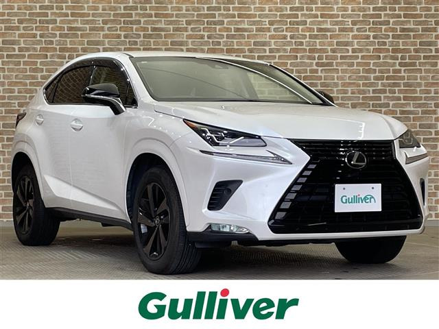 NX300 ブラック シークエンス