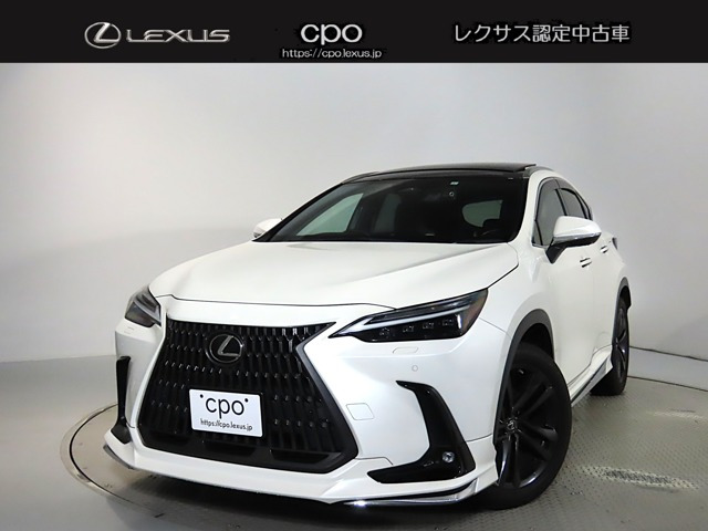 NX250 バージョンL