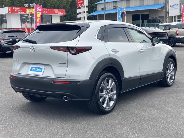 CX-301.8 XD Sパッケージ