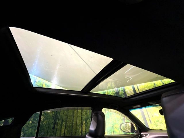 �y�T�����[�t�z�J���������Ղ�̊󏭑����A�T�����[�t����������Ă��܂�!�ԓ��ɖ�����������ꂽ��i�F���y���ވȊO�ɂ��A�ԓ��̋�C���ȒP�Ɋ��C�ł��ĉ��K�ł�!