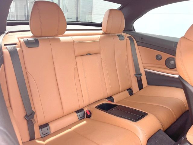 ���㕔���Ȃ��C�ɂȂ�悤�ȃL�Y�E�����ւ��蓙�A�傫�ȃ_���[�W�͂Ȃ��A�ǍD�ȏ�Ԃł��B