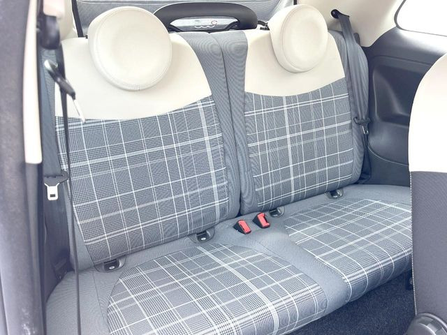 ���㕔���Ȃ��C�ɂȂ�悤�ȃL�Y�E�����ւ��蓙�A�傫�ȃ_���[�W�͂Ȃ��A�ǍD�ȏ�Ԃł��B