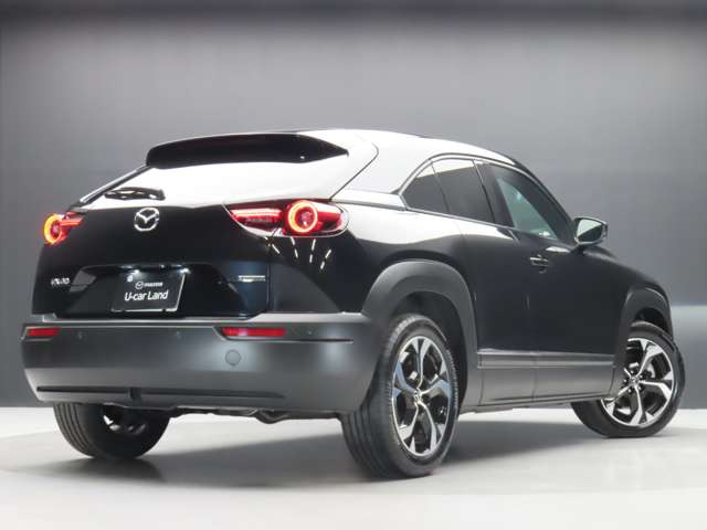 MX-302.0 ナチュラル モノトーン