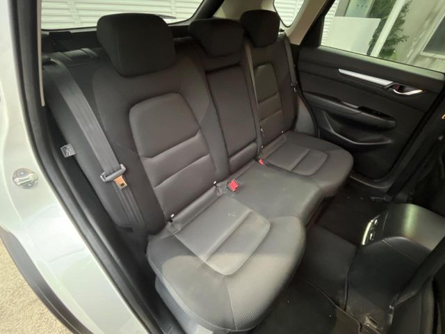 �㕔���Ȃ��C�ɂȂ�悤�ȃL�Y�E�����ւ��蓙�A�傫�ȃ_���[�W�͂Ȃ��A�ǍD�ȏ�Ԃł��B