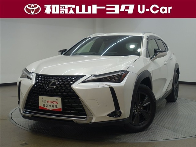 UX250h バージョンC