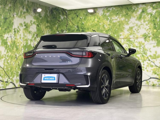 LBXクール E-Four 4WD