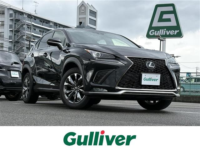 NX300h Fスポーツ