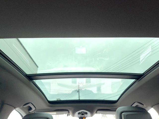 ���p�m���}�~�b�N�K���X���[�t:�唗�͂̃p�m���}���[�t�́A�㕔���Ȃɂ܂ő����Ă���A�J���I�ȋ�Ԃ����y���݂��������܂��B