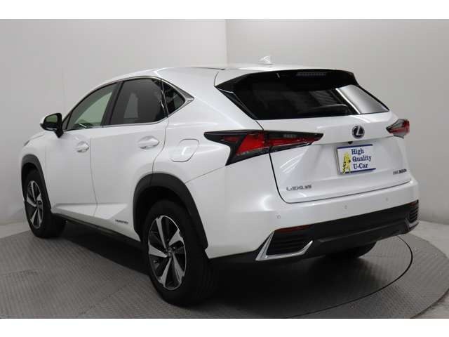 NX300h Iパッケージ