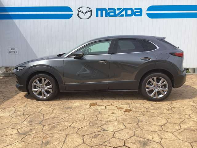 CX-302.0 20S プロアクティブ ツーリングセレクション