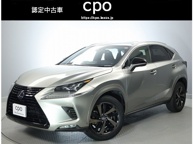 NX300 ブロンズ エディション