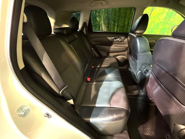 �㕔���Ȃ��C�ɂȂ�悤�ȃL�Y�E�����ւ��蓙�A�傫�ȃ_���[�W�͂Ȃ��A�ǍD�ȏ�Ԃł��B