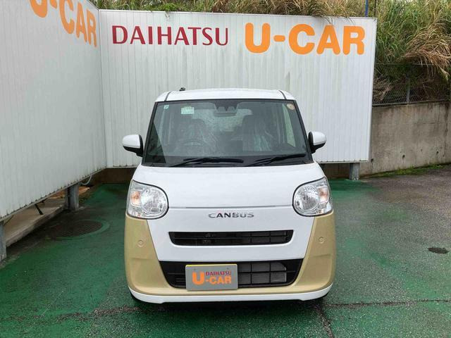 ムーヴキャンバスセオリー X