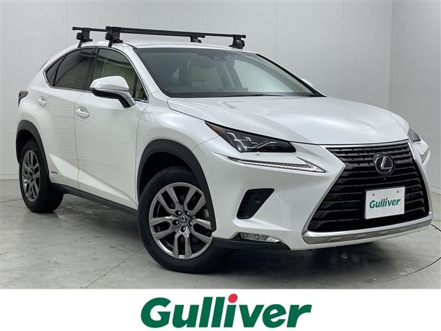 NX300h バージョンL