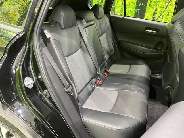 �㕔���Ȃ��C�ɂȂ�悤�ȃL�Y�E�����ւ��蓙�A�傫�ȃ_���[�W�͂Ȃ��A�ǍD�ȏ�Ԃł��B