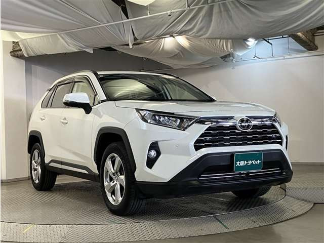 RAV42.0 X