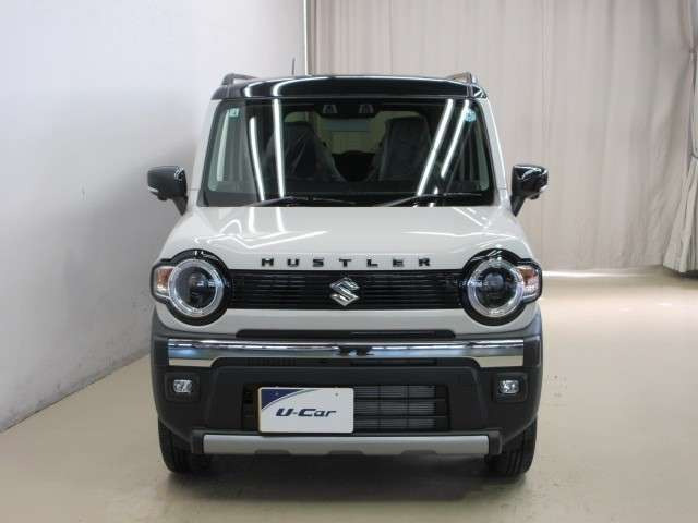 ハスラータフワイルド