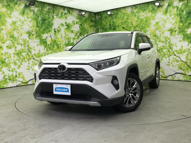 RAV42.0 G Zパッケージ 4WD