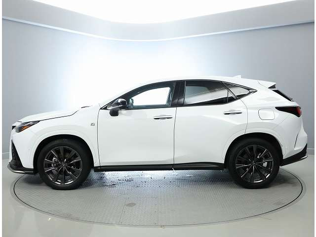 NX350h Fスポーツ