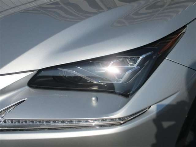 NX300h バージョンL