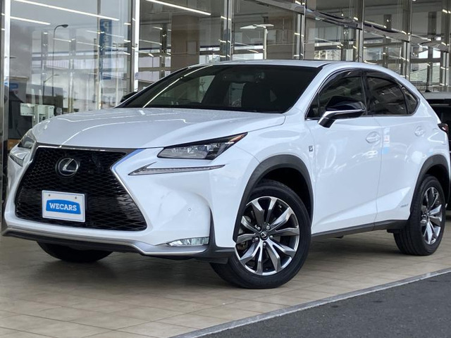 NX300h Fスポーツ