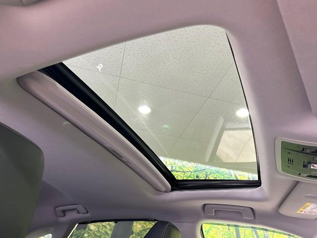 �y�T�����[�t�z�J���������Ղ�̊󏭑����A�T�����[�t����������Ă��܂�!�ԓ��ɖ�����������ꂽ��i�F���y���ވȊO�ɂ��A�ԓ��̋�C���ȒP�Ɋ��C�ł��ĉ��K�ł�!