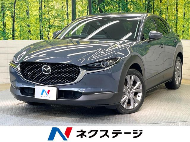 CX-30(マツダ) 2.0 20S プロアクティブ ツーリングセレクション 中古車画像