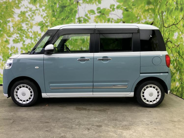 ムーヴキャンバスストライプス G