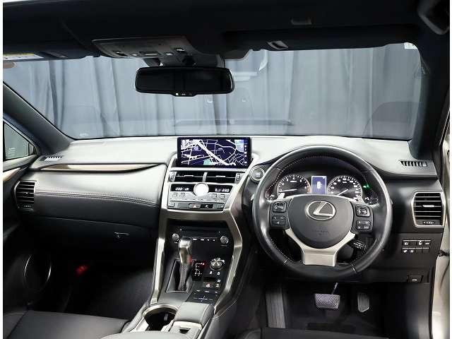 NX300 ブロンズ エディション