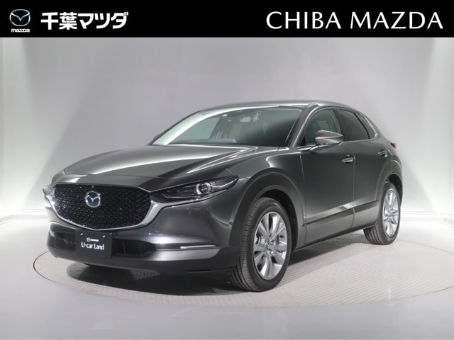 CX-302.0 20S プロアクティブ ツーリングセレクション 4WD