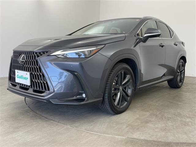 NX350h バージョンL