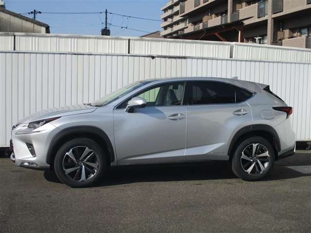 NX300h バージョンL