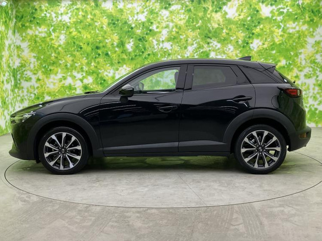 CX-31.8 XD