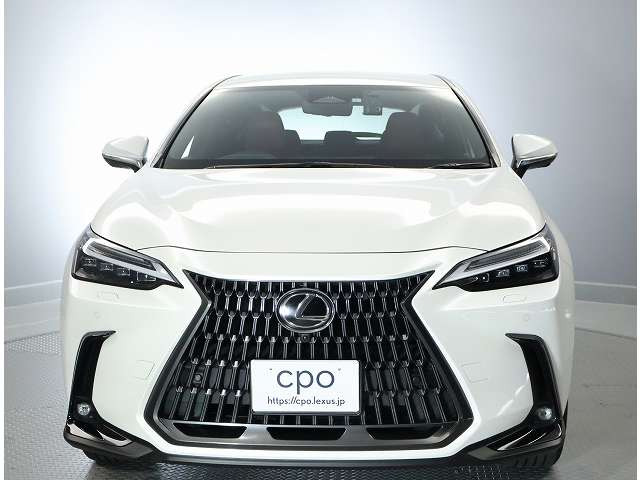 NX350h バージョンL