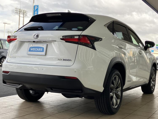 NX300h Fスポーツ