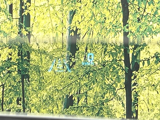 �y��s�Ԕ��i���m�点�z�M���҂���a�؎��ɁA�O�̃N���}�����i�������ƂɋC�Â�����납��N���N�V������炳�ꂽ���Ƃ���܂���?���̃N���}�Ȃ炨�m�点�@�\�t���ň��S�ł�!