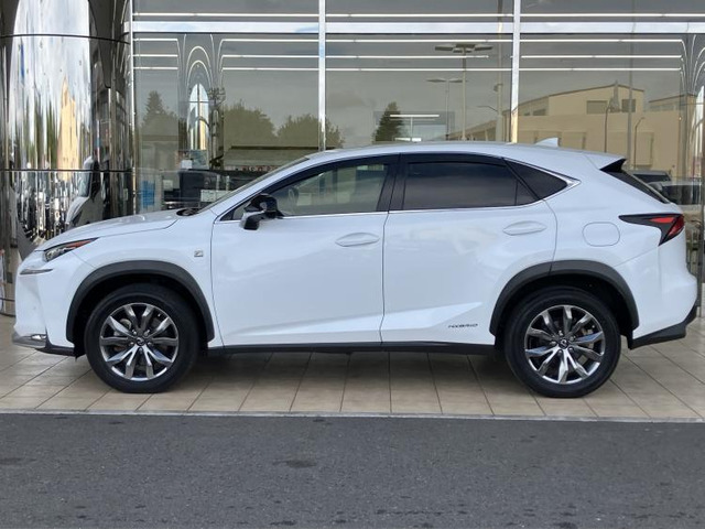 NX300h Fスポーツ