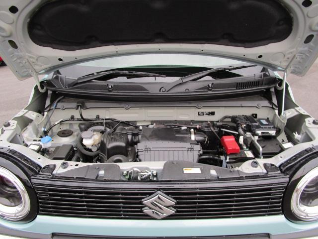 ハスラータフワイルド