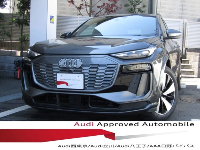 Q6 e-tronアドバンスト Sラインパッケージ