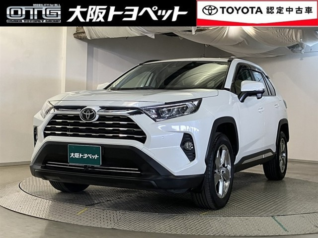 RAV42.0 X
