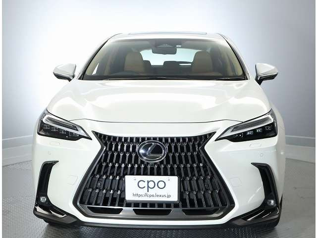 NX350h バージョンL