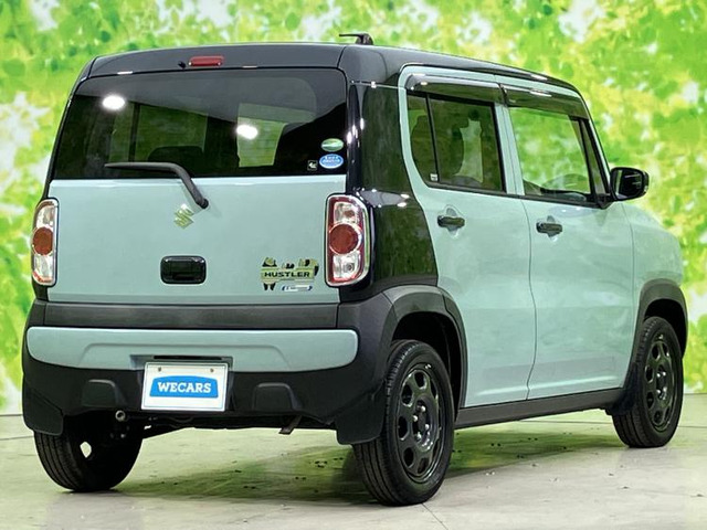 ハスラータフワイルド