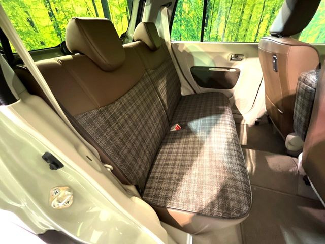 �㕔���Ȃ��C�ɂȂ�悤�ȃL�Y�E�����ւ��蓙�A�傫�ȃ_���[�W�͂Ȃ��A�ǍD�ȏ�Ԃł��B