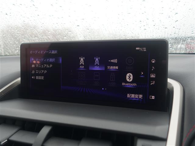 NX300 Fスポーツ 4WD